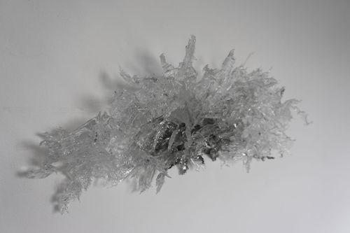 晶绽